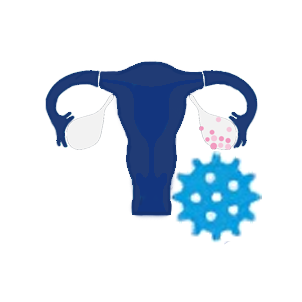 bone-image